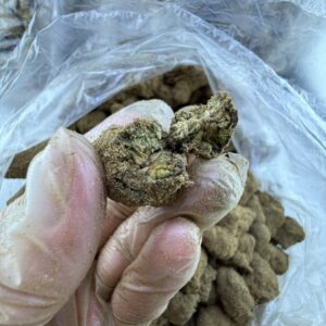 Moon Rocks Strain Flavors