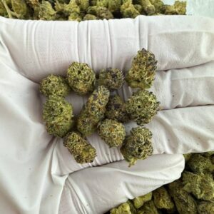 Rainbow Chews Marijuana Strain