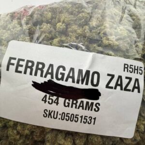 Ferragamo Zaza Strain