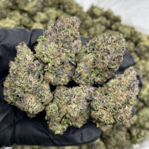 Sweet Treat Mixed Lights Strain