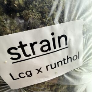 Lcg x Runthol weed strain