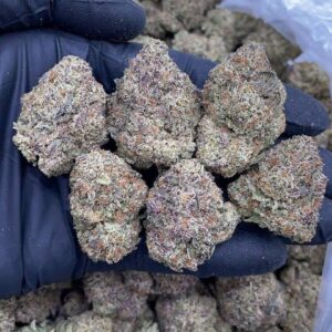 Santa’s Cookies Strain